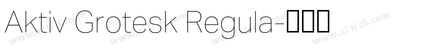 Aktiv Grotesk Regula字体转换